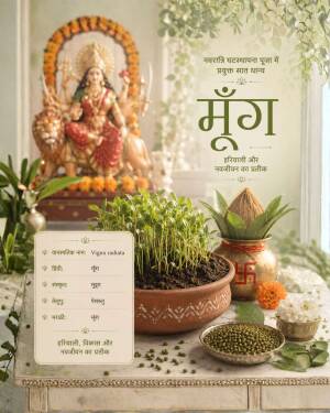 Navratri festival setup featuring Goddess Durga idol, sprout pot, and mung beans representing new life and growth