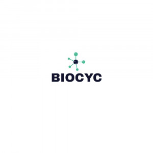 Chemistry Logo Design Image For X