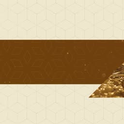brands.live template
