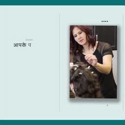 Professional Hair Styling Session Flyer For X