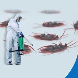 Professional Pest Control Service Banner For Telegram