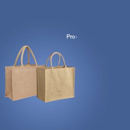 Eco-Friendly Jute Tote Bags Graphic For LinkedIn
