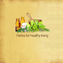 Herbs For Healthy Living Wellness Concept Business Poster For Google Business Profile