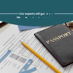 Professional Visa Application Assistance Creative Design For Facebook