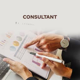 Professional Business Consulting Services Graphic For Telegram