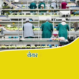 Industrial Fruit Sorting Facility Advertisement For Twitter