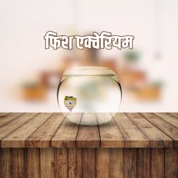 Fish Aquarium Promotional Image Artwork For WhatsApp
