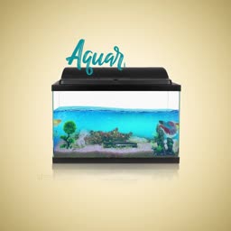 Aquar Aquarium Tank Graphic For WhatsApp