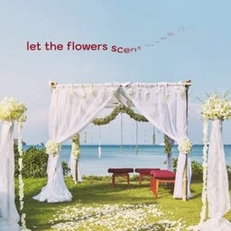 Beach Wedding Ceremony Setup Post For Pinterest