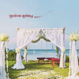 Beach Wedding Mandap Decor Graphic For LinkedIn