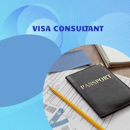 Professional Visa Consultant Services Template For LinkedIn