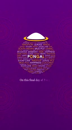Happy Pongal Festival Illustration Story For LinkedIn