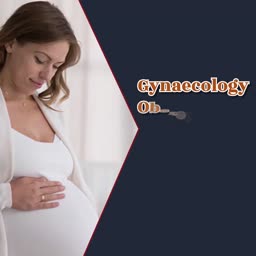 Gynaecology And Obstetrics Services Poster For WhatsApp