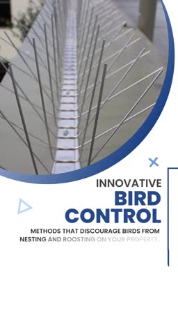 Innovative Bird Control Solutions Artwork For X