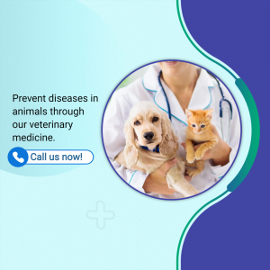 Prevent Diseases In Animals With Veterinary Care Creative Design For Google Business Profile