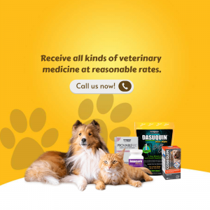 Affordable Veterinary Medicine Supplies Marketing Image For Facebook