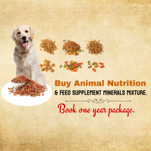 Premium Animal Nutrition And Mineral Supplement Package Social Media Post For Facebook