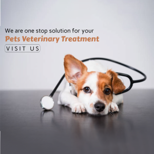 Professional Pet Veterinary Clinic Services Branding Post For Telegram