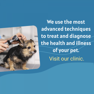 Advanced Veterinary Diagnostic Services Advertisement For Pinterest