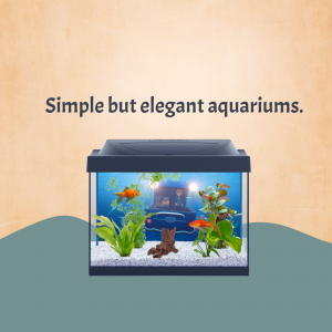 Simple Elegant Aquarium Design Branding Post For Pinterest