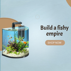Build A Fishy Empire Aquarium Ad Artwork For LinkedIn