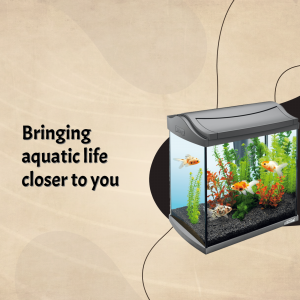 Bringing Aquatic Life Closer To You - Aquarium Advertisement Branding Post For Twitter