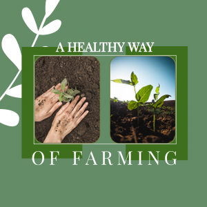 A Healthy Way Of Farming Banner For X