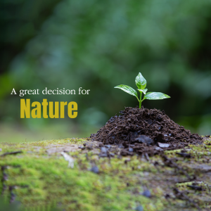 A Great Decision For Nature Image For Google Business Profile