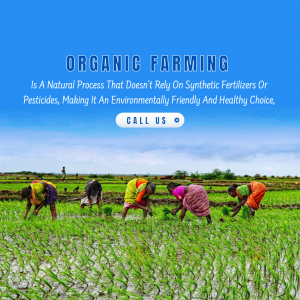 Organic Farming Sustainable Agriculture Image For Threads