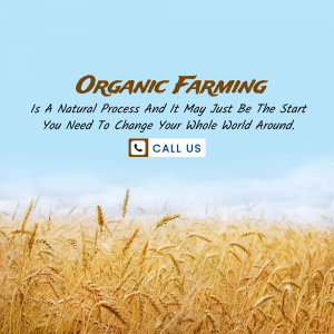 Organic Farming Natural Process Advertisement Post For LinkedIn