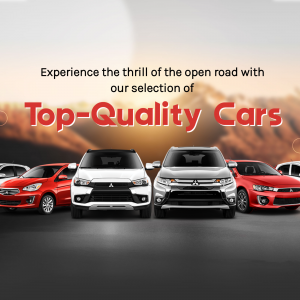 Top-Quality Cars Selection Branding Post For WhatsApp