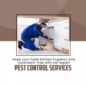 Professional Hotel Kitchen Pest Control Service Artwork For Google Business Profile