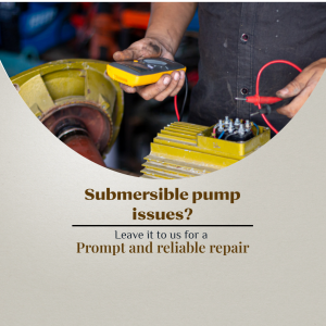 Professional Submersible Pump Repair Services Poster For Google Business Profile