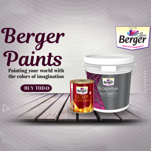 Berger Paints Product Advertisement Advertisement For Instagram