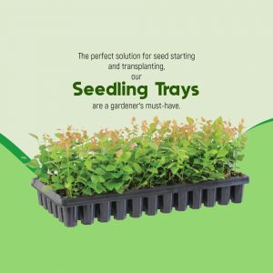 Seedling Trays For Gardening Post For Google Business Profile