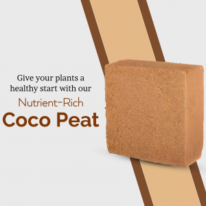 Nutrient-Rich Coco Peat Block For Gardening Artwork For X