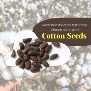 Trusted Cotton Seeds For High Yield Farming Image For Twitter