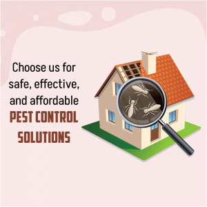 Professional Pest Control Services Banner For Google Business Profile
