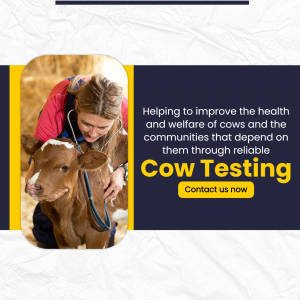Reliable Cow Testing Services Business Poster For Pinterest