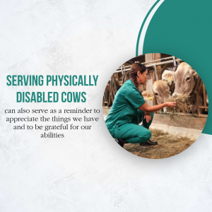 Serving Physically Disabled Cows Inspirational Quote Social Media Post For Instagram