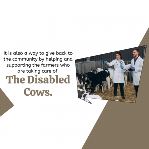 Supporting Farmers Caring For Disabled Cows Advertisement For Google Business Profile