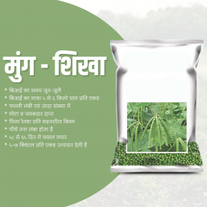 Shikha Mung Seeds Product Information Creative Design For WhatsApp