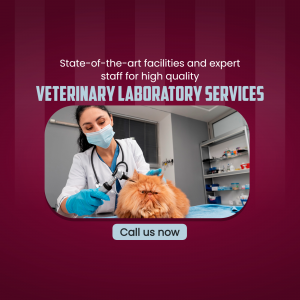 Professional Veterinary Laboratory Services Social Media Post For Instagram