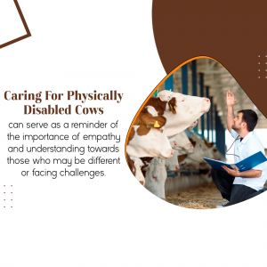 Caring For Physically Disabled Cows Template For WhatsApp