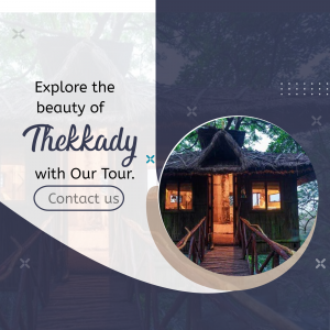 Thekkady Tour Package Promotion Design For Instagram