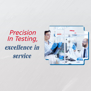 Precision In Testing And Service Excellence Design For Facebook