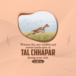 Explore Tal Chhapar Wildlife Sanctuary Post For WhatsApp