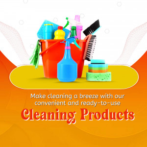 Essential Cleaning Products Collection Post For LinkedIn