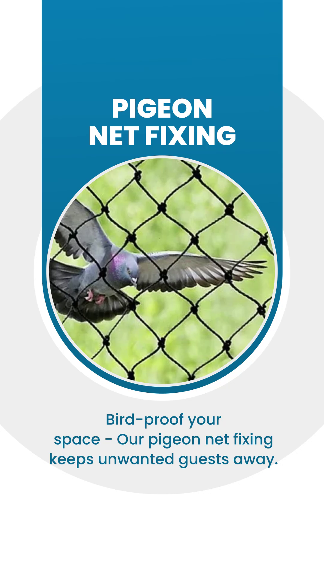 Professional Pigeon Net Fixing Services Branding Post For Instagram
